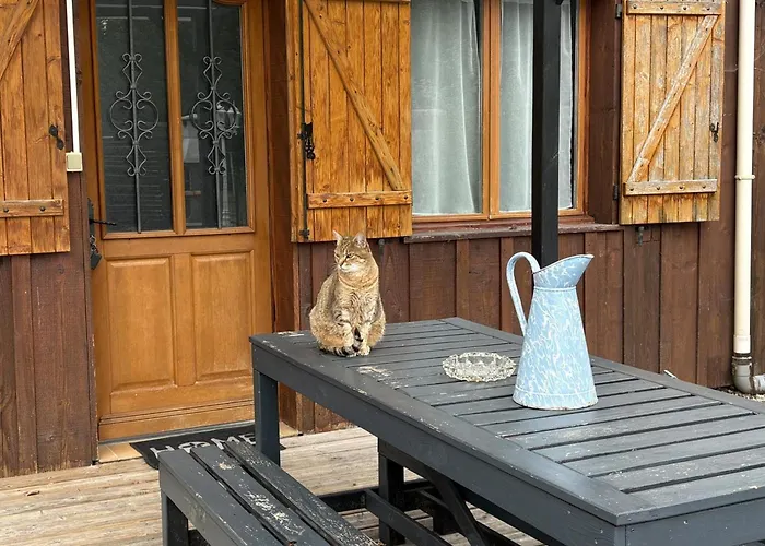 Prázdninový dům Champetre Avec Piscine Couverte En Auvergne - Fr-1-489-590 *